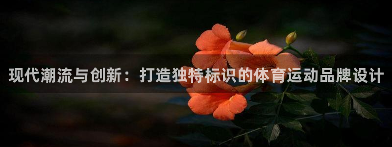 vsport体育官方正版app集团简介：现代潮流与创