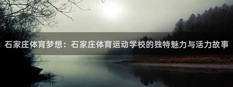 海南vsport体育官网下载：石家庄体育梦想：石家庄
