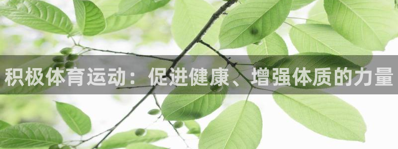 vsport体育官网下载平台是正规平台吗安全吗：积极