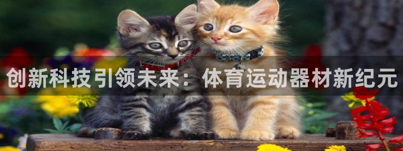 vsport体育官网下载平台假的吗是真的吗：创新科技