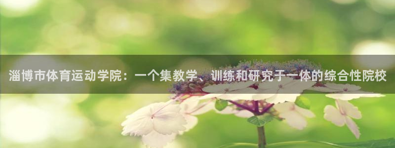 vsport体育官网下载平台注册要钱吗：淄博市体育运动学院：
