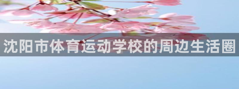 vsport体育官网下载是干嘛的公司