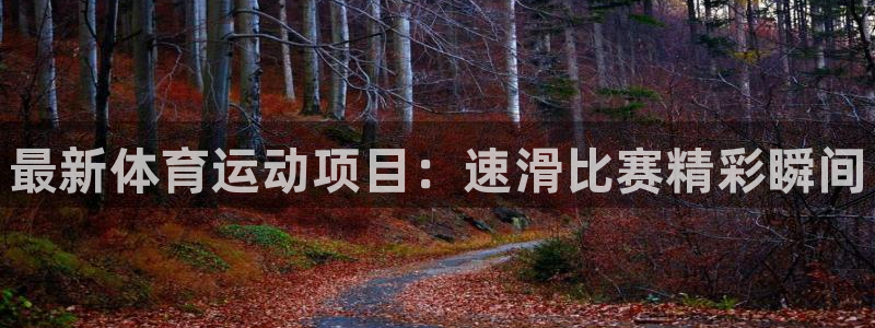 vsport体育官方正版app娱乐是那个系列的台子：最新体育