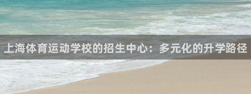 vsport体育官方正版app集团E.ON：上海体育