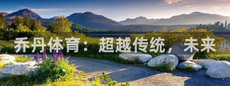 vsport体育官网下载平台注册要钱吗安全吗：乔丹体