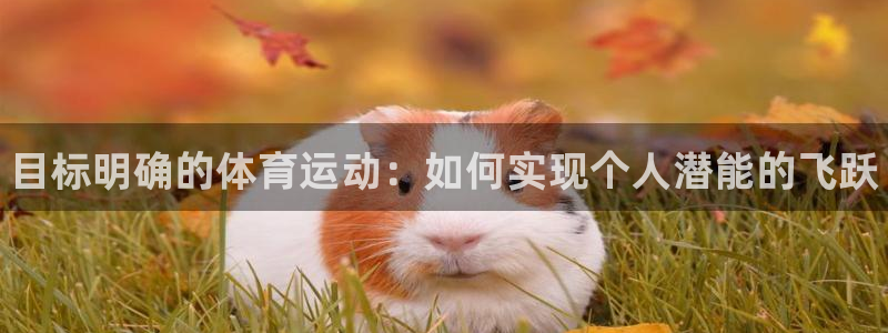 vsport体育官网下载平台注册：目标明确的体育运动：如何实