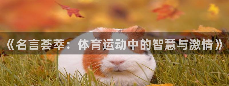 vsport体育官网下载招商电话号码查询：《名言荟萃