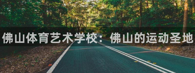 vsport体育官方正版app新能源：佛山体育艺术学