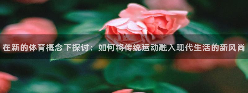 vsport体育官网下载平台是正规平台吗知乎：在新的