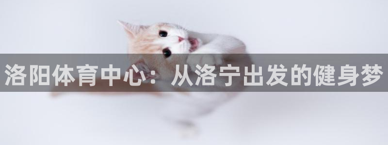 vsport体育官方正版app娱乐40996：洛阳体育中心：