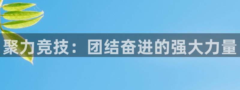 vsport体育官方正版app官网：聚力竞技：团结奋进的强大