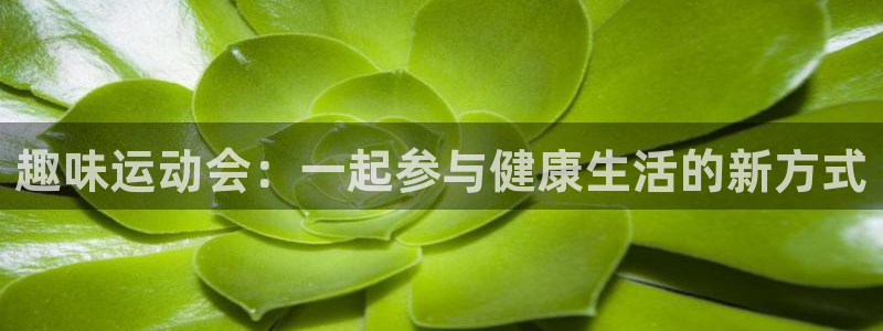 vsport体育官方正版app开户：趣味运动会：一起参与健康