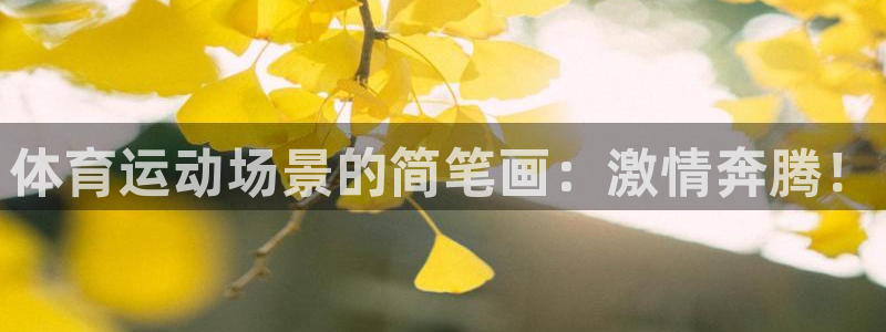 vsport体育官方正版app集团简介：体育运动场景的简笔画