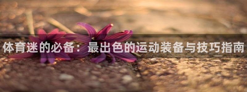 vsport体育官网下载平台：体育迷的必备：最出色的运动装备