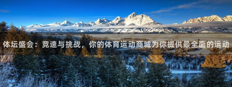 vsport体育官方正版app官方：体坛盛会：竞速与