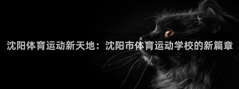 海南vsport体育官网下载：沈阳体育运动新天地：沈