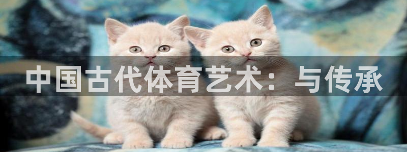 vsport体育官网下载平台注册：中国古代体育艺术：