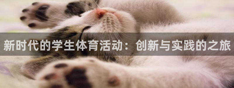 vsport体育在线官网：新时代的学