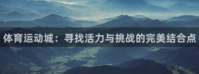 Vsport体育官方网站入口：体育运