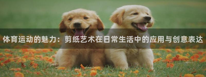 vsport体育在线官网阿根廷：体育